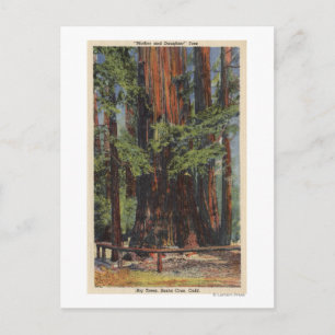 "Moeder" en "Dochter" in Big Trees Park Briefkaart