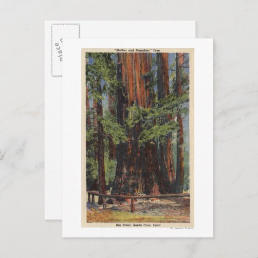 "Moeder" en "Dochter" in Big Trees Park Briefkaart (Voorkant / Achterkant)