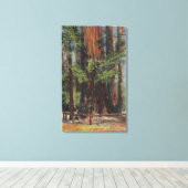 "Moeder" en "Dochter" in Big Trees Park Canvas Afdruk (Insitu (Houten vloer))