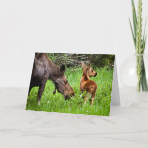 Moeder en het Baby van twee de Waakzame Kaart