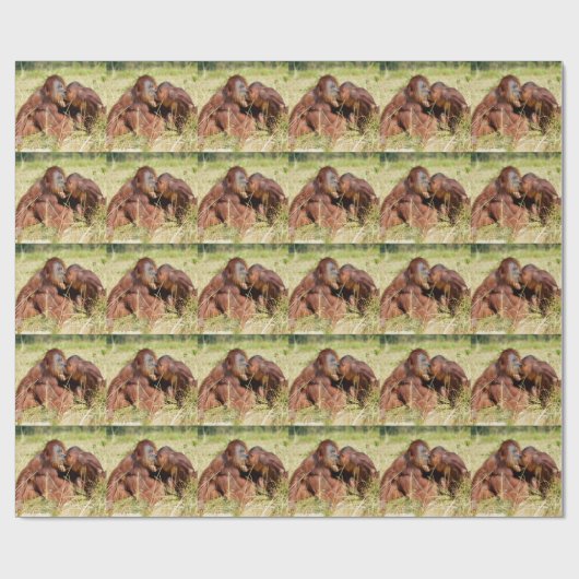 Moeder en jonge orangouans (Pongo pygmaeus) Cadeaupapier (Vlak)