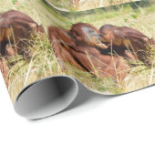 Moeder en jonge orangouans (Pongo pygmaeus) Cadeaupapier (Rol Hoek)