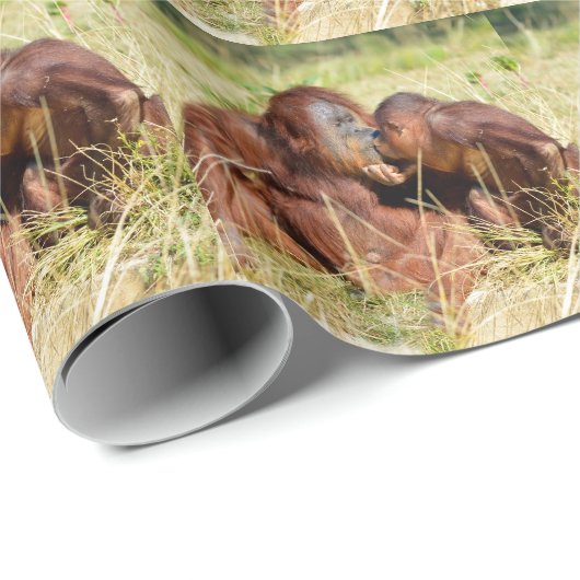 Moeder en jonge orangouans (Pongo pygmaeus) Cadeaupapier (Rol Hoek)