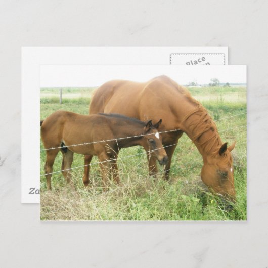 Moeder en kind briefkaart (Voorkant / Achterkant)