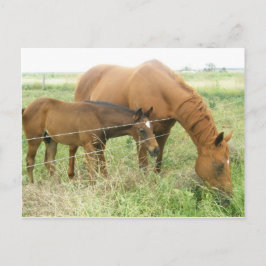 Moeder en kind briefkaart