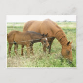 Moeder en kind briefkaart (Voorkant)