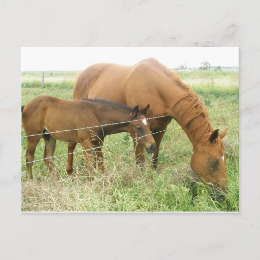 Moeder en kind briefkaart (Voorkant)