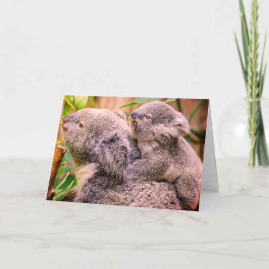 Moeder en kind koala beren gevouwen wenskaart kaart (Voorkant)