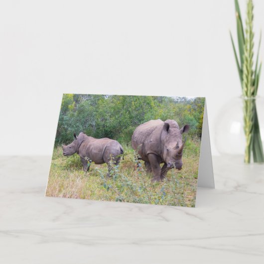 Moeder en kind neushoorn kaart (Voorkant)