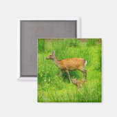 Moeder en kind - onvolwassen herten met jonge magneet (Voorkant / Achterkant)