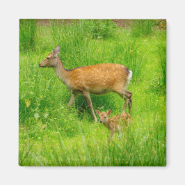 Moeder en kind - onvolwassen herten met jonge magneet