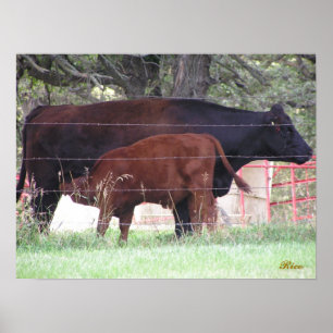 Moeder en kind poster