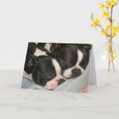 Moeder en kind puppy Note Kaart Boston Terrier (Gele Bloem)
