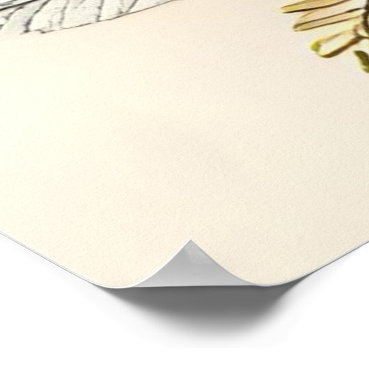 Moeder en kind X Poster (Hoek)