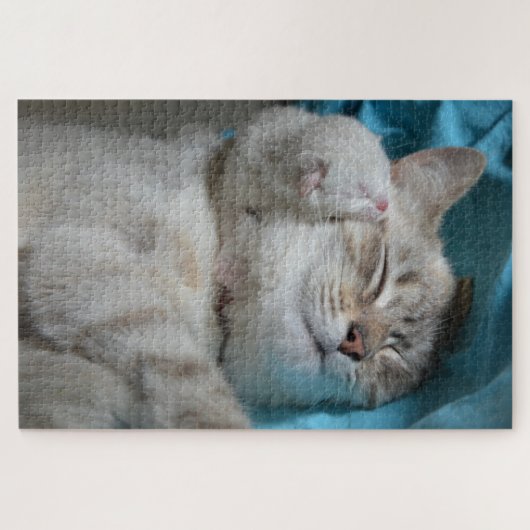 moeder en kitten puzzel (Horizontaal)