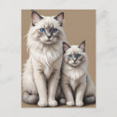 Moeder en Kitten Ragdoll Kattenkunstwerk Hartverwa Briefkaart (Voorkant)