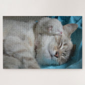 moeder- en kittenpuzzel legpuzzel (Horizontaal)