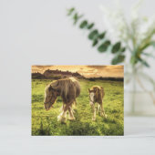 Moeder- en veefpaard briefkaart (Staand voorkant)