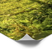 Moeder- en veefpaard poster (Hoek)