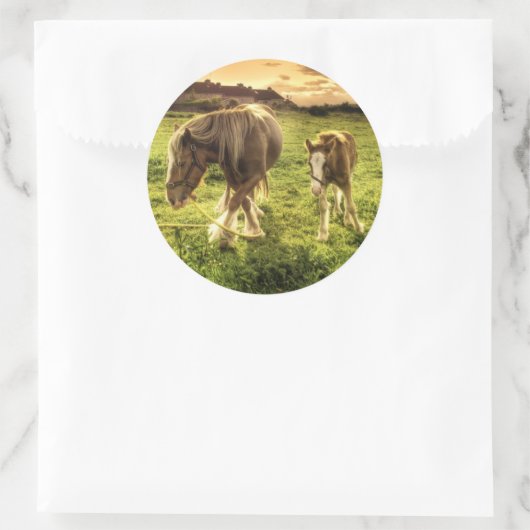 Moeder- en veefpaard ronde sticker (Tas)