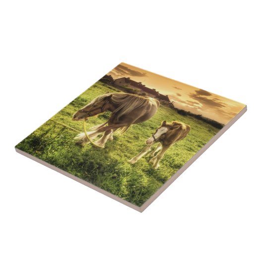 Moeder- en veefpaard tegeltje (Zijkant)