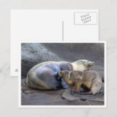 Moeder en Verpleegkundige Pup Briefkaart (Voorkant / Achterkant)