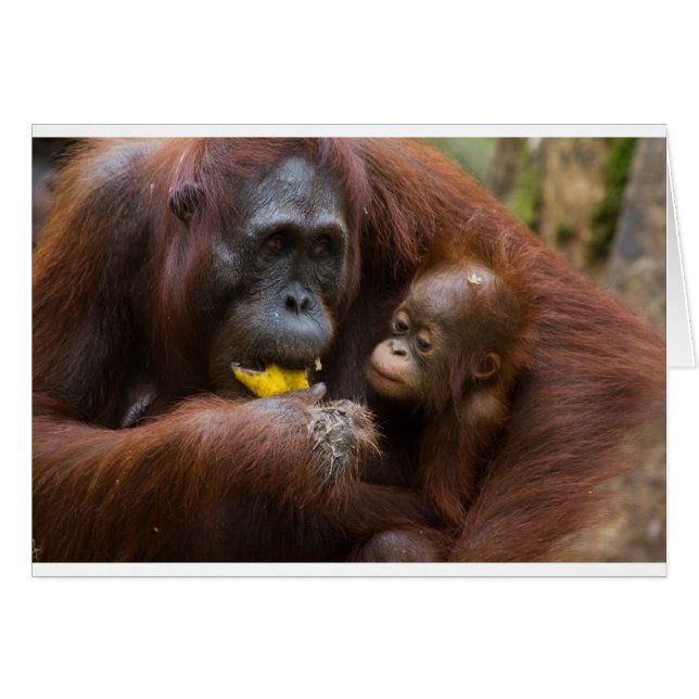 Moeder en zoon (Voorkant Horizontaal)