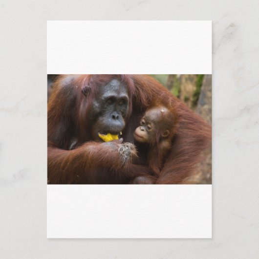 Moeder en zoon briefkaart (Voorkant)