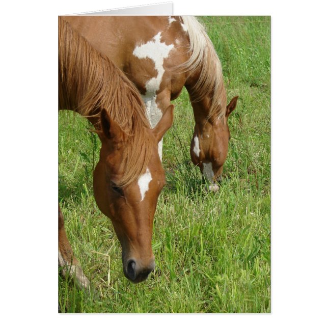 Moeder en zoon, paarden grazen (Voorkant)