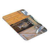 Moeder Geit en Baby Magnet Magneet (Rechterzijde)