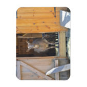 Moeder Geit en Baby Magnet Magneet (Verticaal)