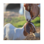 Moeder geit kussen haar baby op haar hoofd. tegeltje (Voorkant)