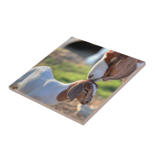 Moeder geit kussen haar baby op haar hoofd. tegeltje (Zijkant)