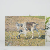 Moeder Geit met haar Jong Kind (door Segantini) Kaart (Staand voorkant)