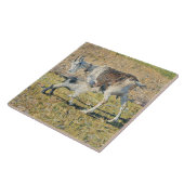 Moeder Geit met haar Jong Kind (door Segantini) Tegeltje (Zijkant)