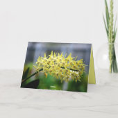 Moeder Gelukkige 90ste Verjaardag Gestreepte Orchi Kaart (Achterkant)