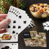 Moeder Gevestigde Fotokeeper Pokerkaarten (Insitu)