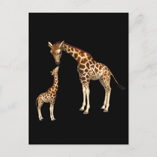 Moeder Giraffe en Baby Giraffe Briefkaart (Voorkant)