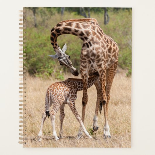 Moeder-giraffe en baby in Kenia Planner (Voorkant)