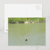 Moeder Goose en haar baby's Briefkaart (Voorkant / Achterkant)
