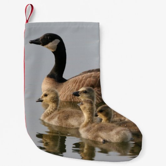 Moeder Goose en haar Goslings Kleine Kerstsok (Voorkant)