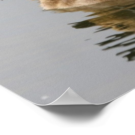 Moeder Goose en haar Goslings Poster (Hoek)