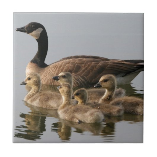 Moeder Goose en haar Goslings Tegeltje (Voorkant)