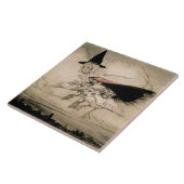 Moeder Goose, frontispion van 'Moeder Goose The Ol Tegeltje (Zijkant)