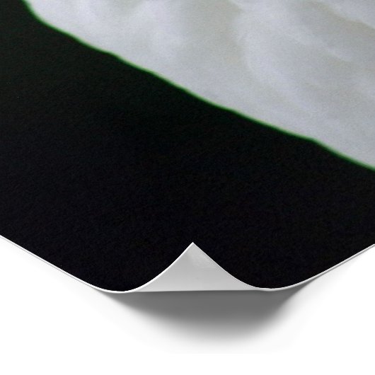 Moeder Goose Poster (Hoek)