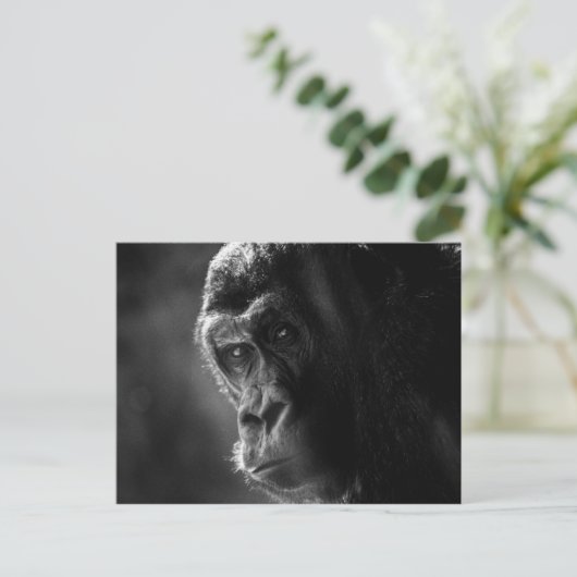 Moeder Gorilla Briefkaart (Staand voorkant)