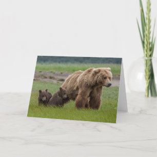 Moeder Grizzly Beer met tweelingkubussen Kaart
