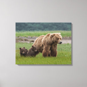 Moeder Grizzlybeer met Tweelingwelpen Canvas Afdruk