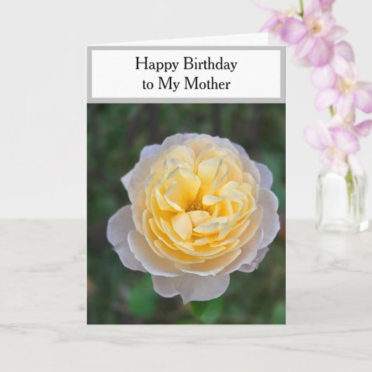 Moeder Happy Birthday Yellow Rose Kaart (Orchidee)