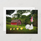 Moeder Hen Briefkaart (Voorkant / Achterkant)